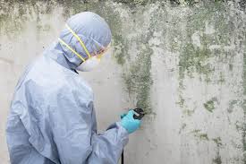 Professional Mold Removal Services in Huntington, UT